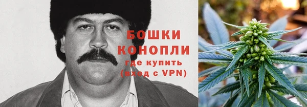 СК Алексин