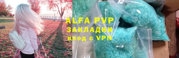 СК Алексин
